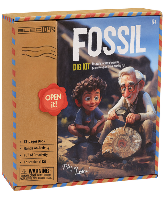 Children's Fossil Dig Educational Toy Set with Book
